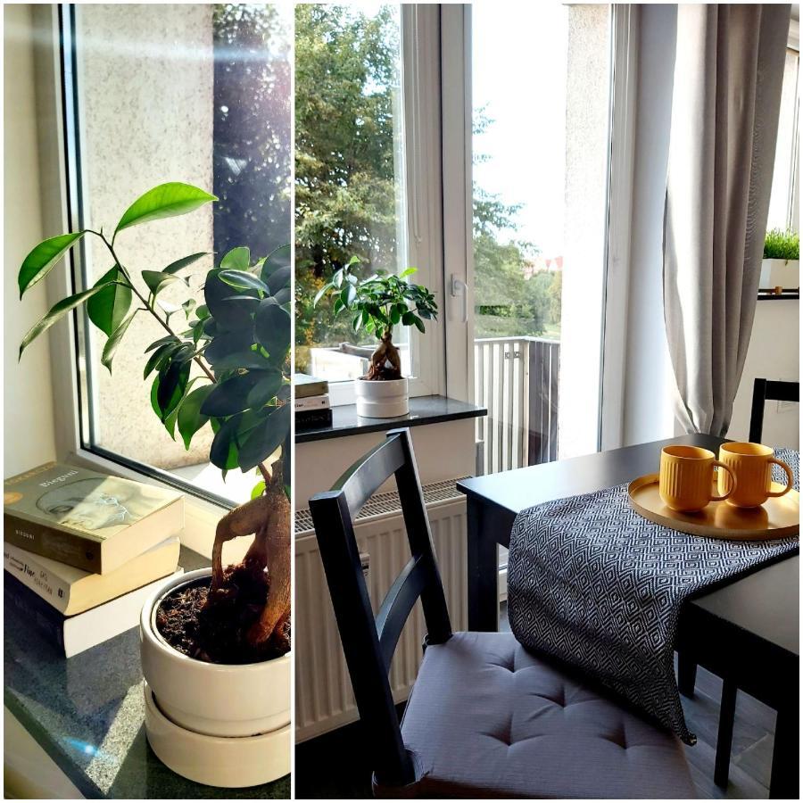 Be In Gdansk Apartments- Studio Podwale Eksteriør billede